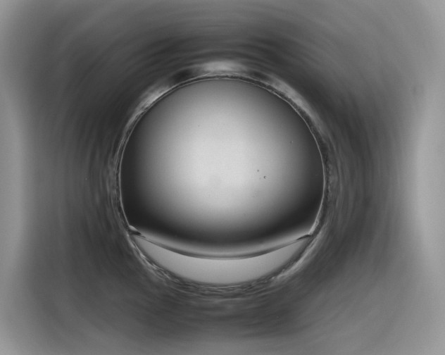X0000116331145200912011127