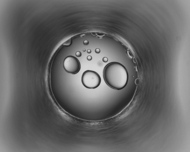 X0000116331149200912011127