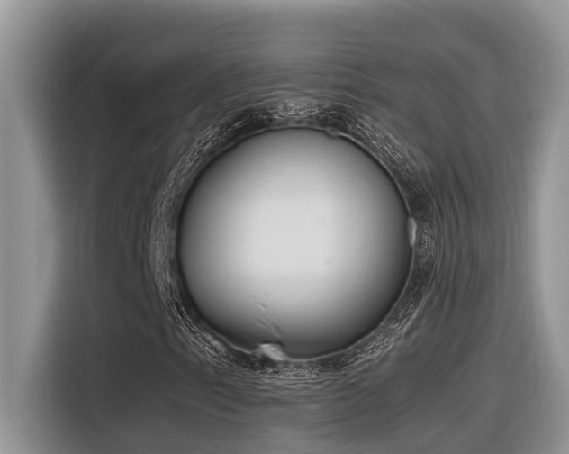 X0000116331153200912011127