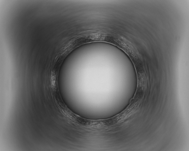 X0000116331154200912011127