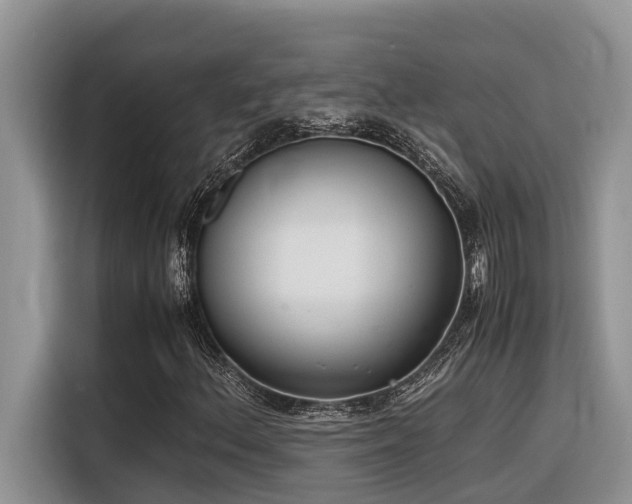 X0000116331156200912011127