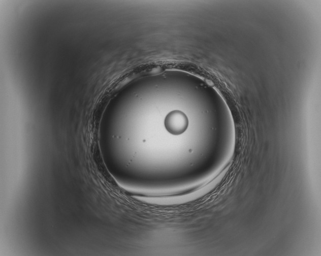 X0000116331157200912011127
