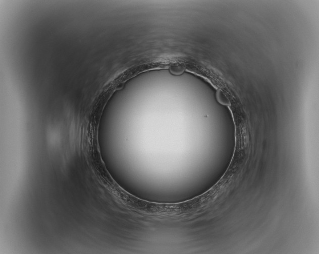 X0000116331158200912011127