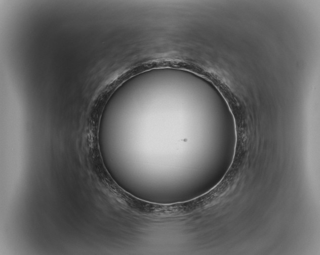 X0000116331159200912011127
