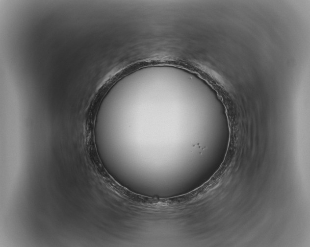 X0000116331160200912011127