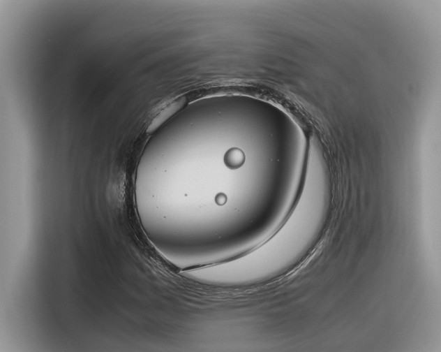 X0000116331161200912011127