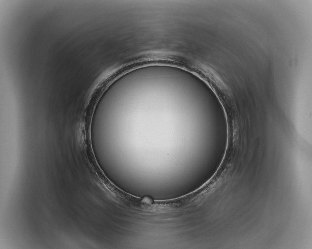 X0000116331164200912011127