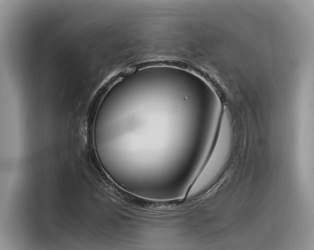 X0000116331165200912011127