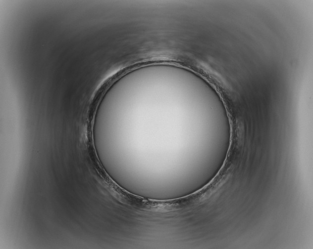 X0000116331166200912011127
