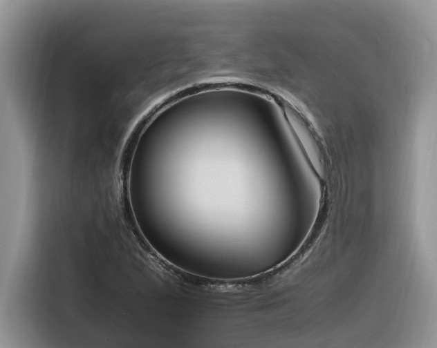 X0000116331167200912011126