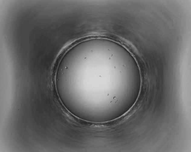 X0000116331168200912011126