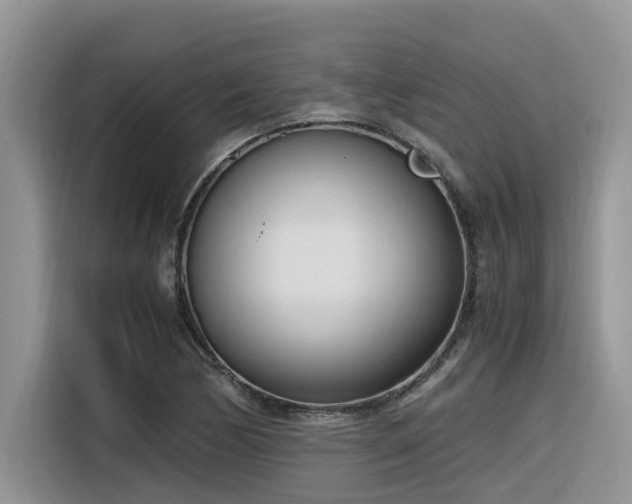 X0000116331170200912011126