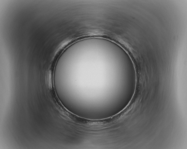 X0000116331171200912011126