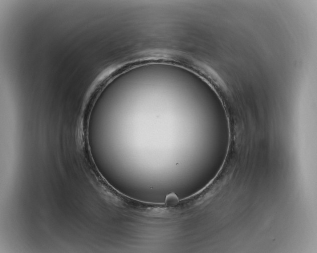 X0000116331172200912011126