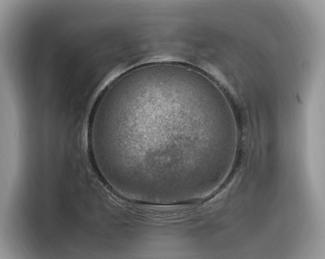 X0000116331173200912011126