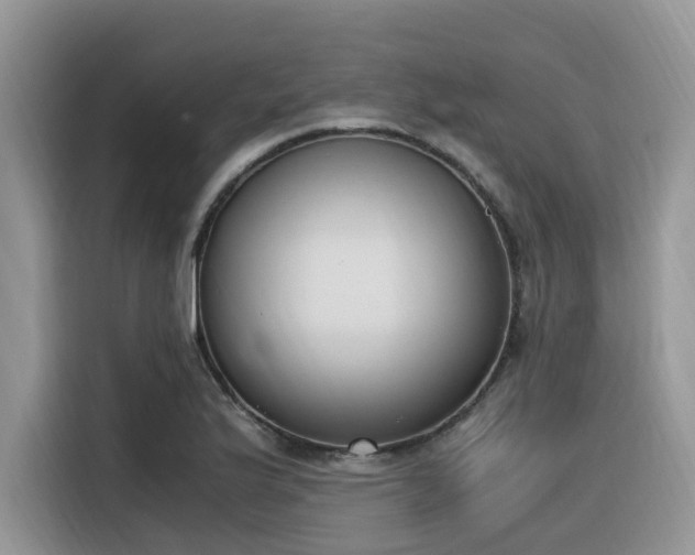 X0000116331175200912011126