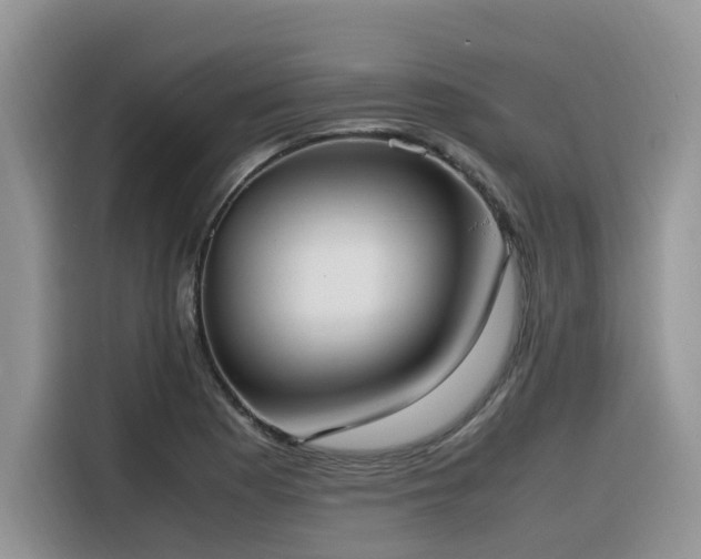X0000116331177200912011126