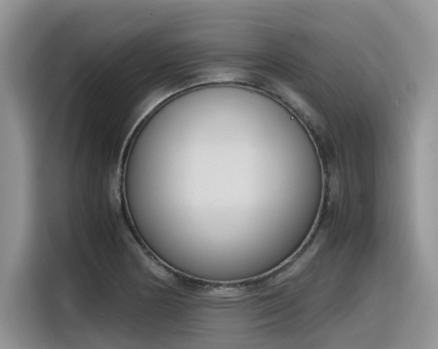 X0000116331178200912011126