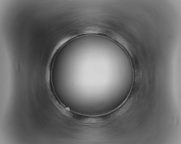 X0000116331179200912011126