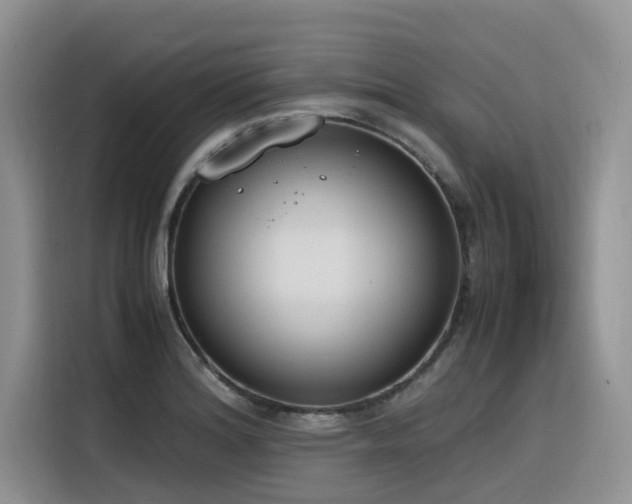 X0000116331180200912011126