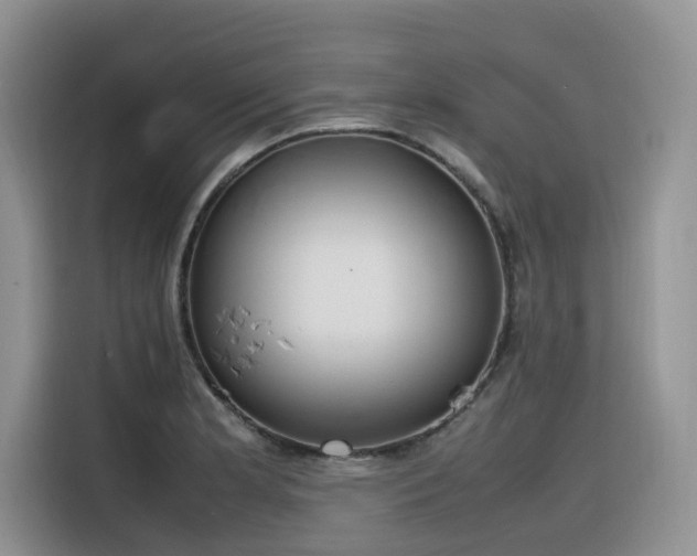 X0000116331181200912011126
