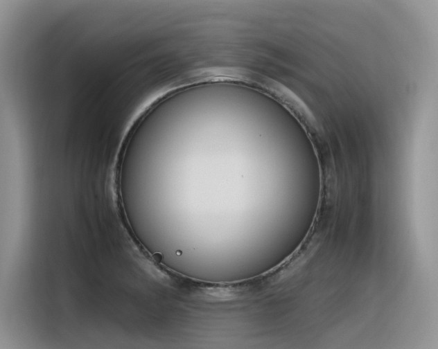 X0000116331182200912011126