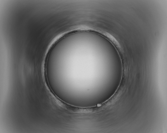 X0000116331183200912011126