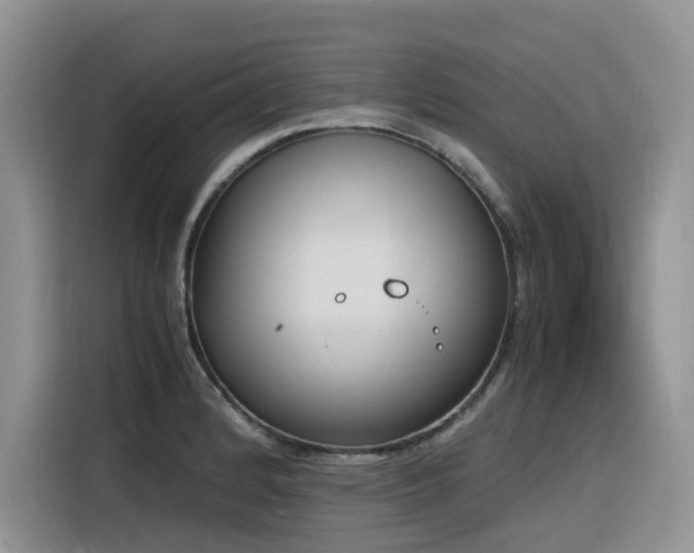 X0000116331184200912011126