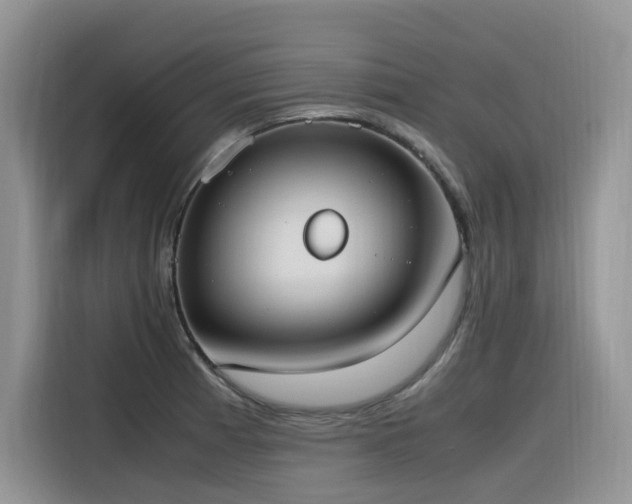 X0000116331185200912011126