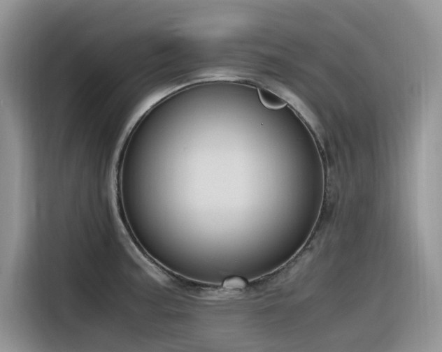 X0000116331187200912011126