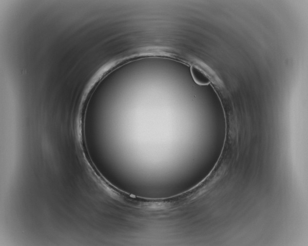 X0000116331188200912011126