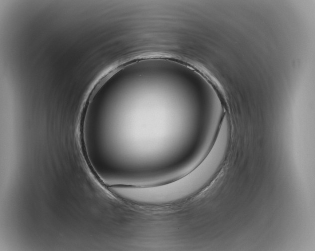 X0000116331189200912011126
