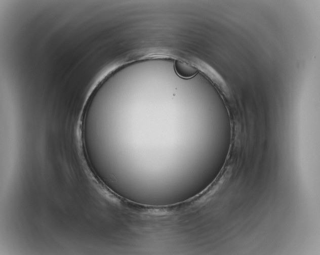 X0000116331190200912011126