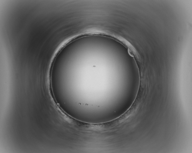 X0000116331191200912011126