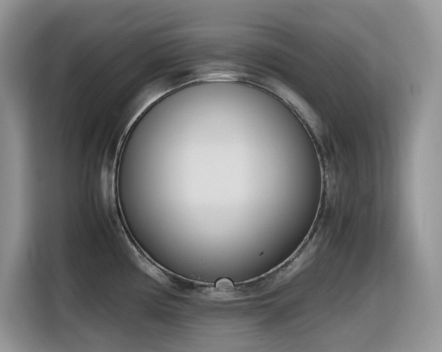 X0000116331194200912011126