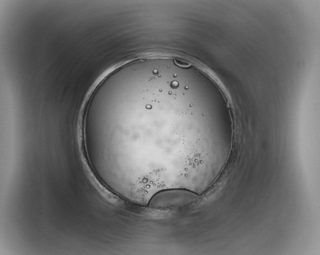 X0000116331195200912011126