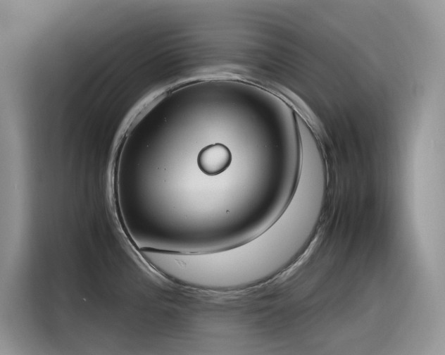 X0000116331196200912011126