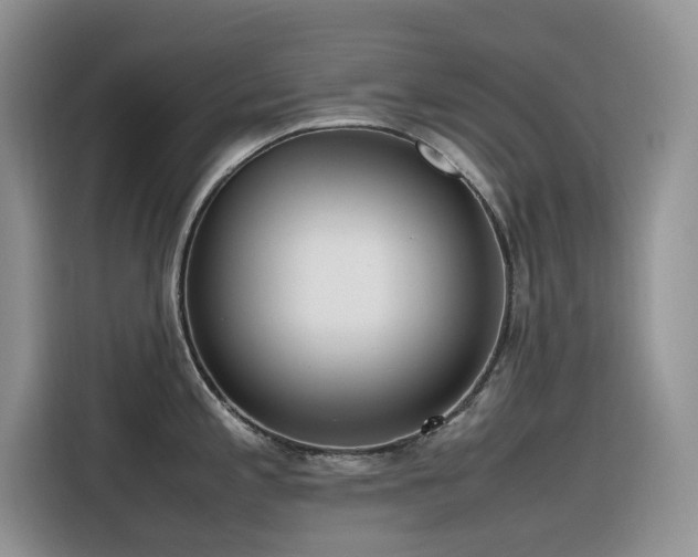 X0000116331197200912011126