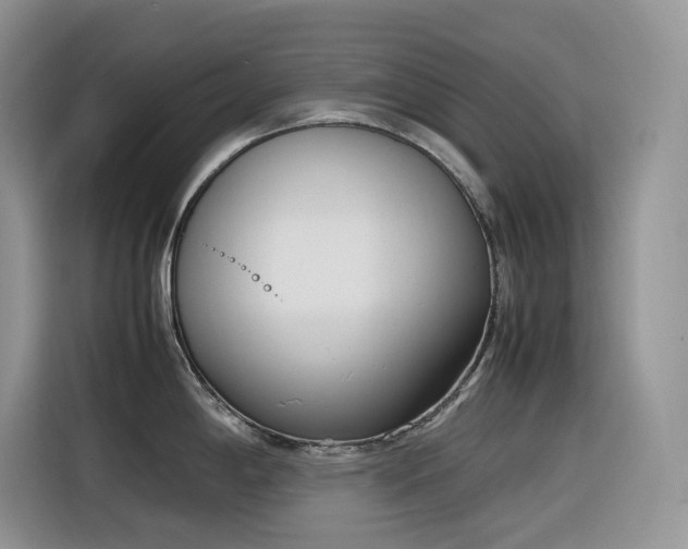 X0000116331198200912011126