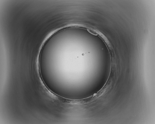 X0000116331199200912011126