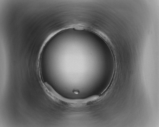 X0000116331200200912011126