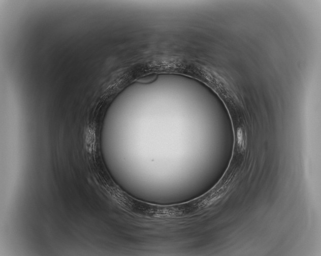 X0000116331203200912011125