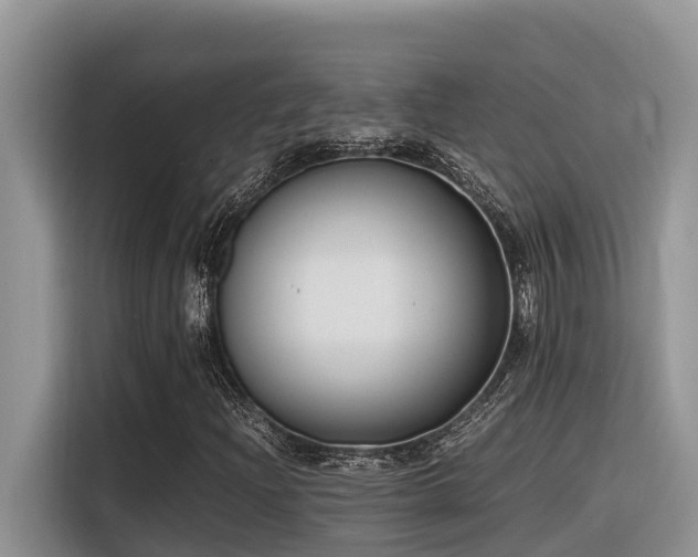 X0000116331204200912011125