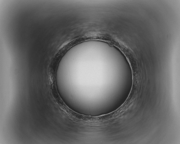 X0000116331206200912011126