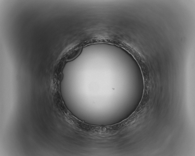 X0000116331207200912011126