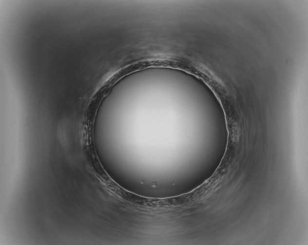 X0000116331208200912011126