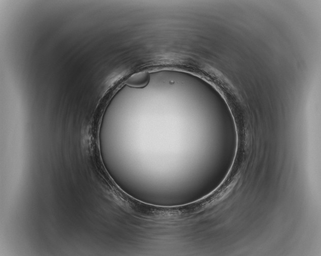 X0000116331210200912011126