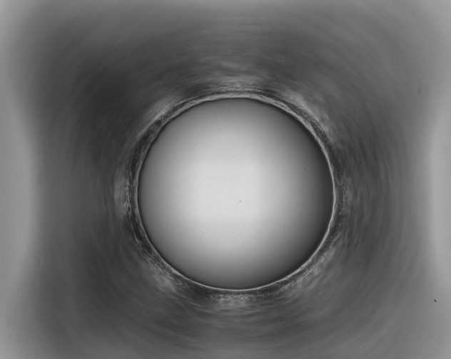 X0000116331211200912011126