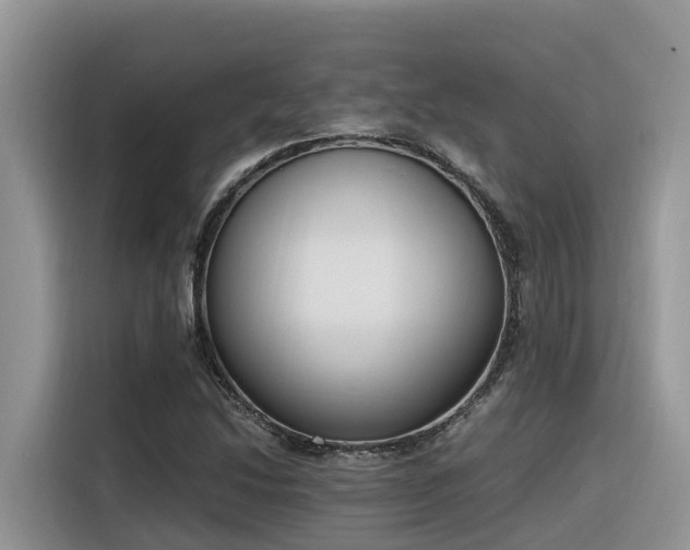 X0000116331214200912011126