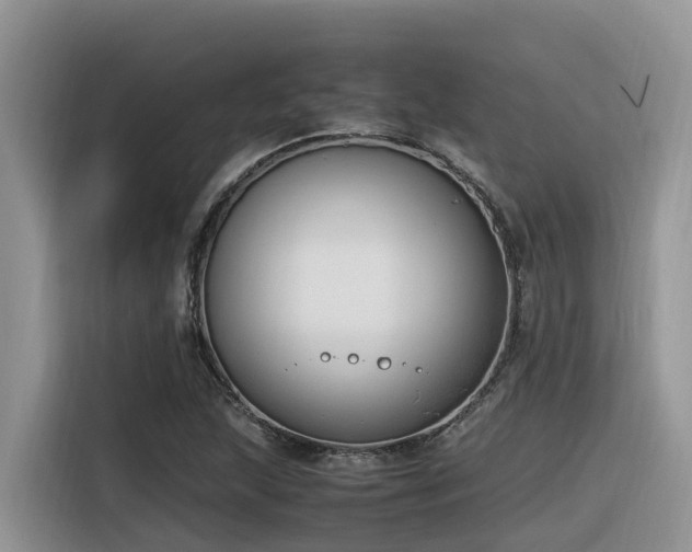 X0000116331215200912011126